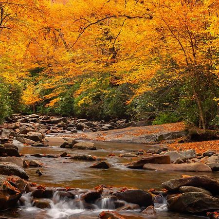 Peace, Serenity & Relaxation In The Smokies! Gatlinburg Eksteriør bilde