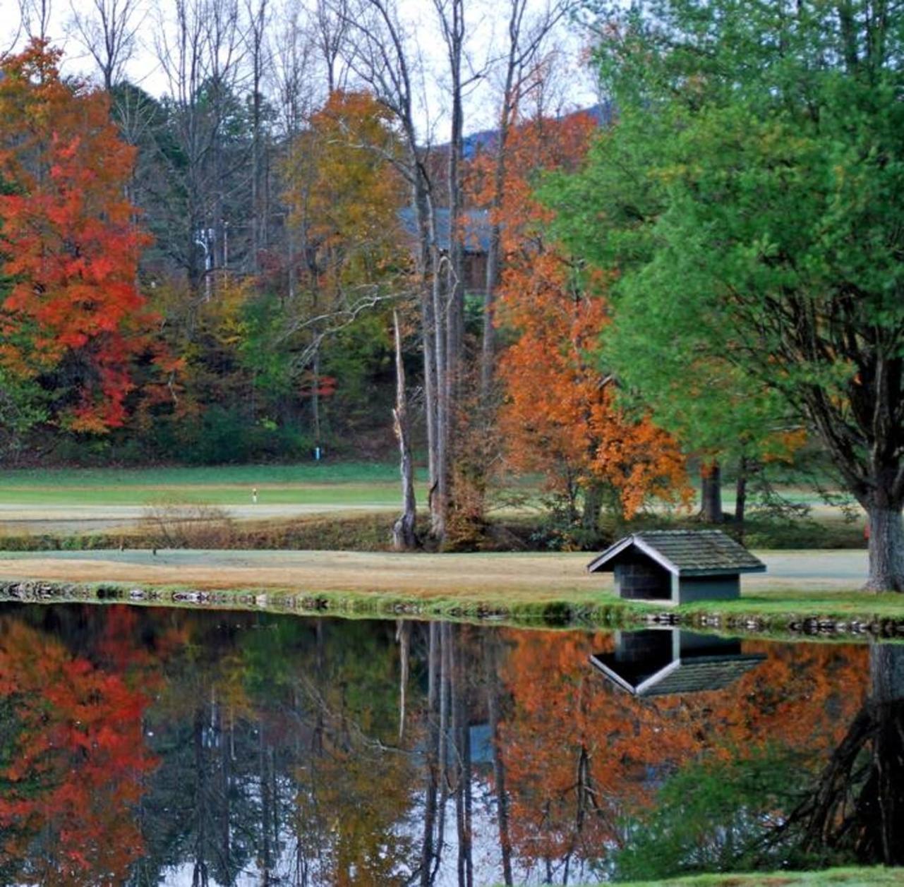 Peace, Serenity & Relaxation In The Smokies! Gatlinburg Eksteriør bilde