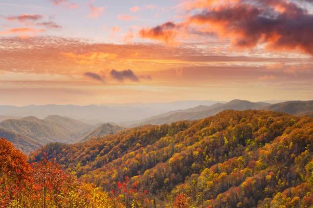 Peace, Serenity & Relaxation In The Smokies! Gatlinburg Eksteriør bilde