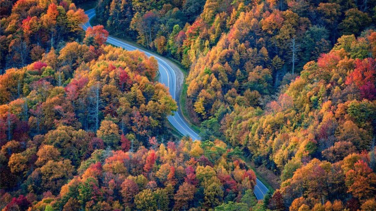 Peace, Serenity & Relaxation In The Smokies! Gatlinburg Eksteriør bilde